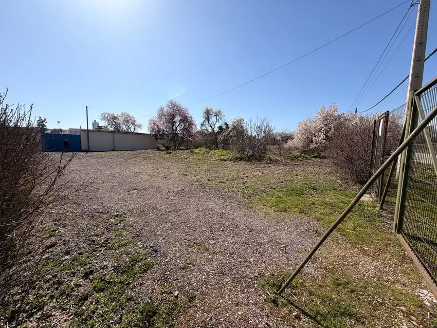 Almacén en Venta en Pinto