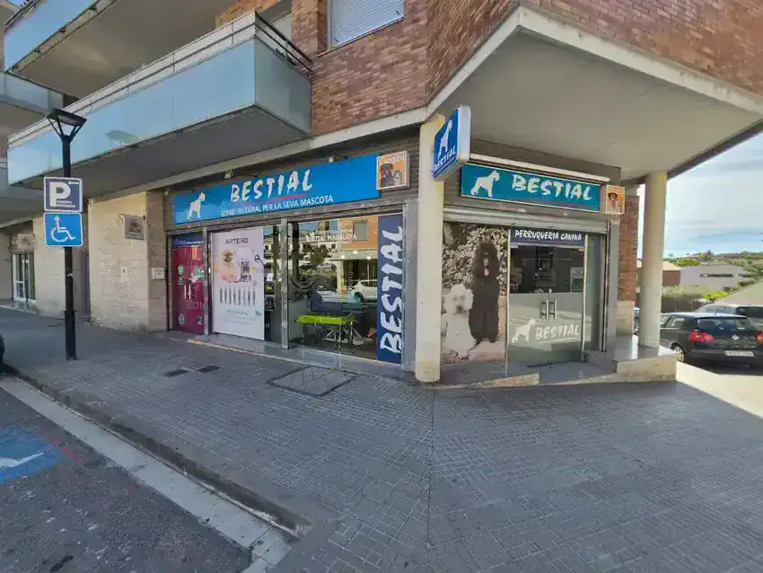 Local comercial en Alquiler en Masquefa