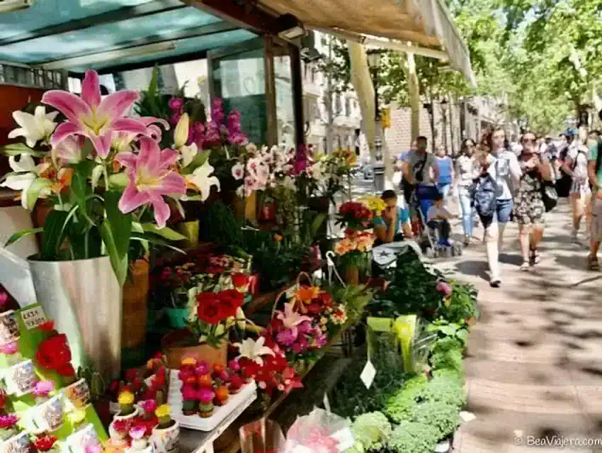 Bar en Venta en El Gòtic, Barcelona