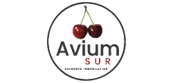 Logo de Avium Sur Asesores Inmobiliarios