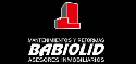 Logo de Babiolid