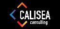 Logo de Calisea Consulting