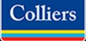 Logo de Colliers International Spain Sociedad Limitada