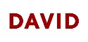 Logo de DAVID Real Estate
